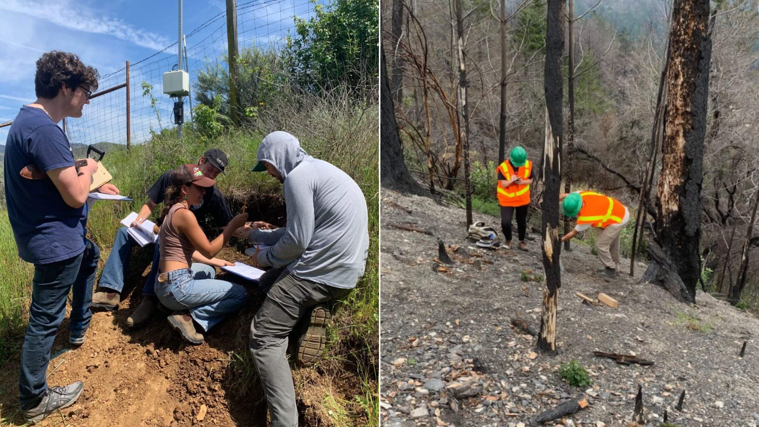 students collecting soil samples and recording areas impacted by wildfire