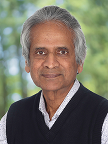 Nanda Ganesan, Ph.D.