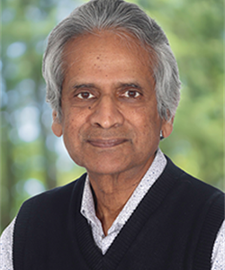 Nanda Ganesan, Ph.D.