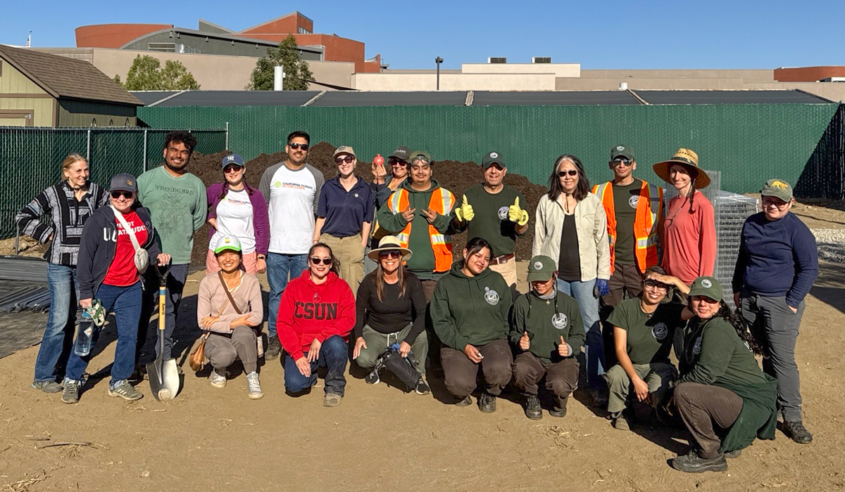 Volunteers at tree nursery site