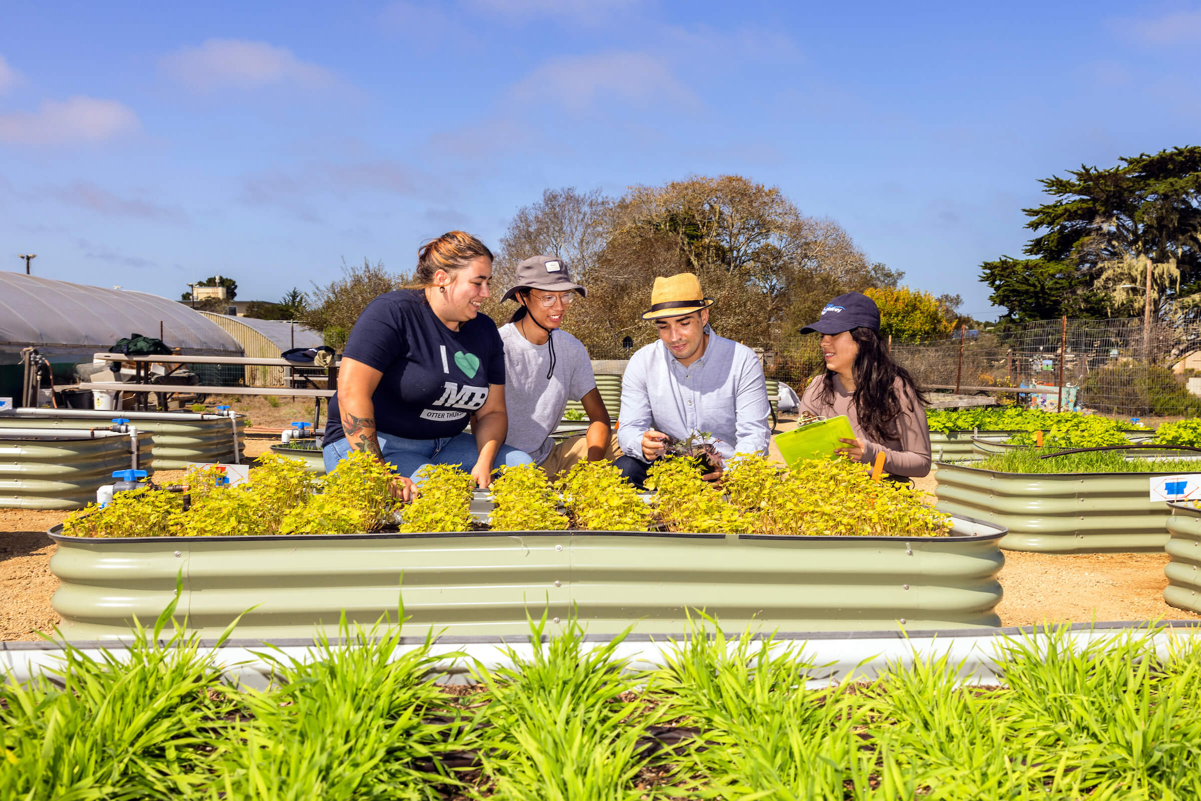 Professor JP Dundore-Arias examines plants with three students