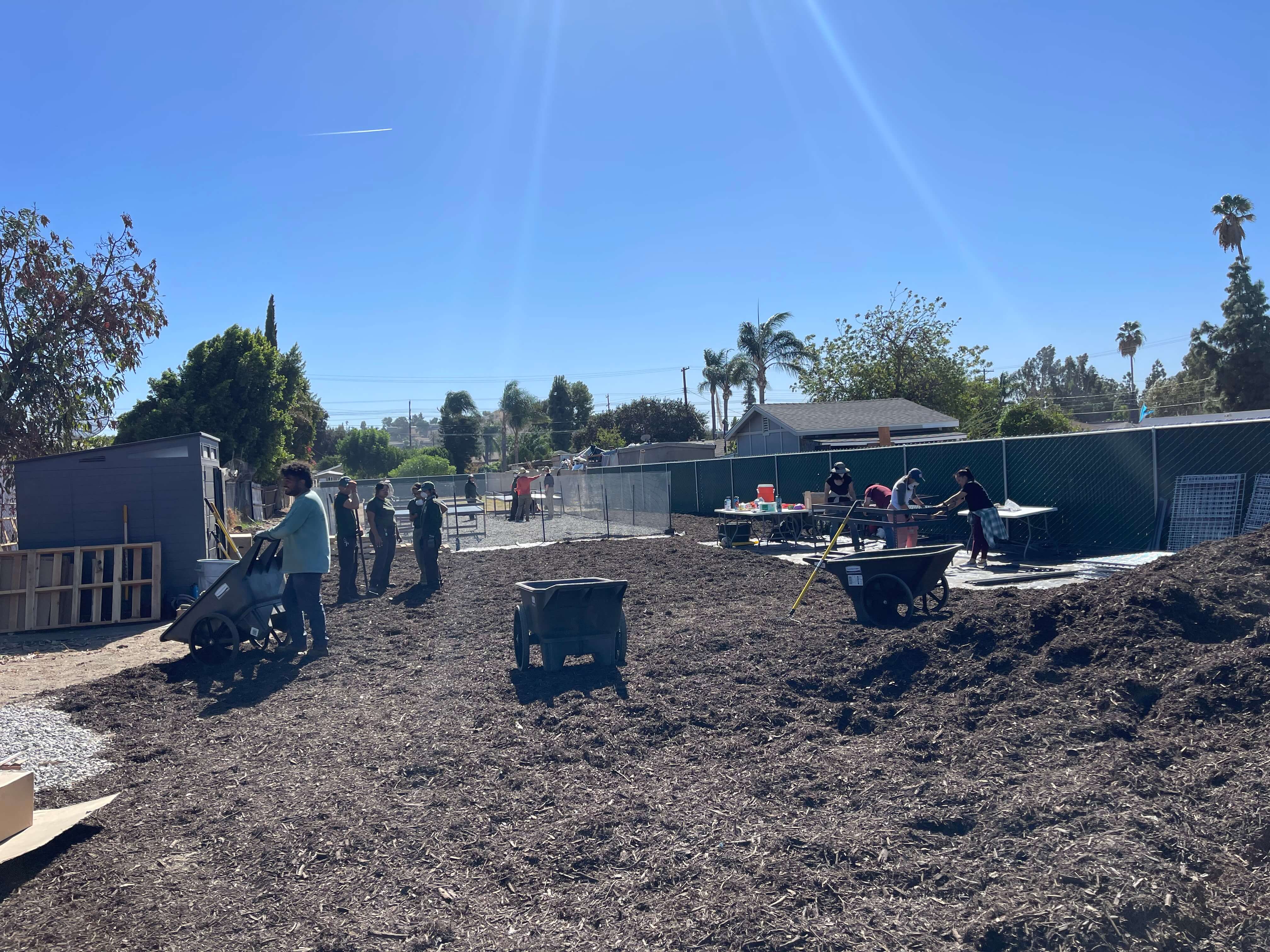 Volunteers lay mulch at a Tribal tree nursery site