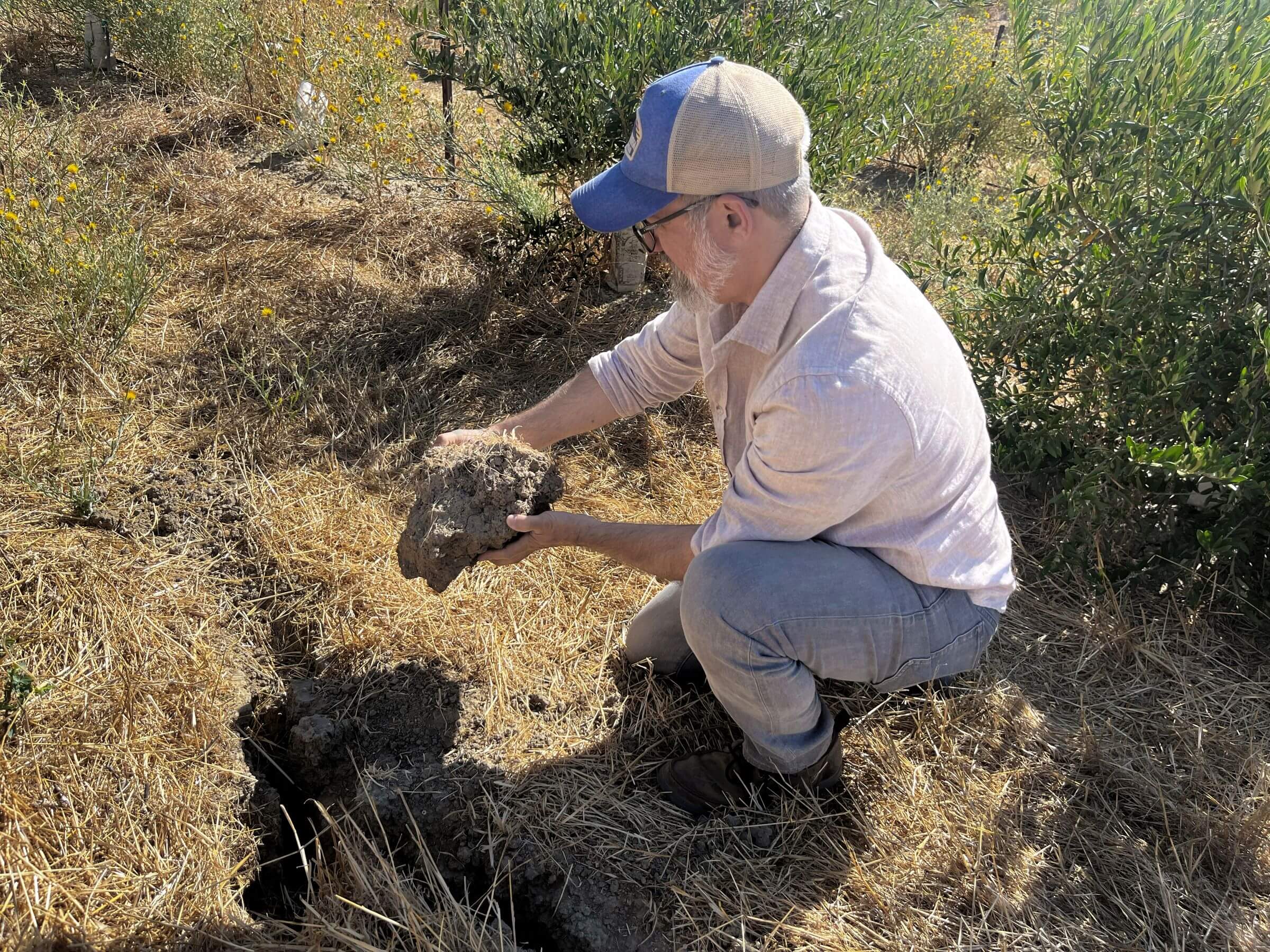 Benjamin Lewis examines soil