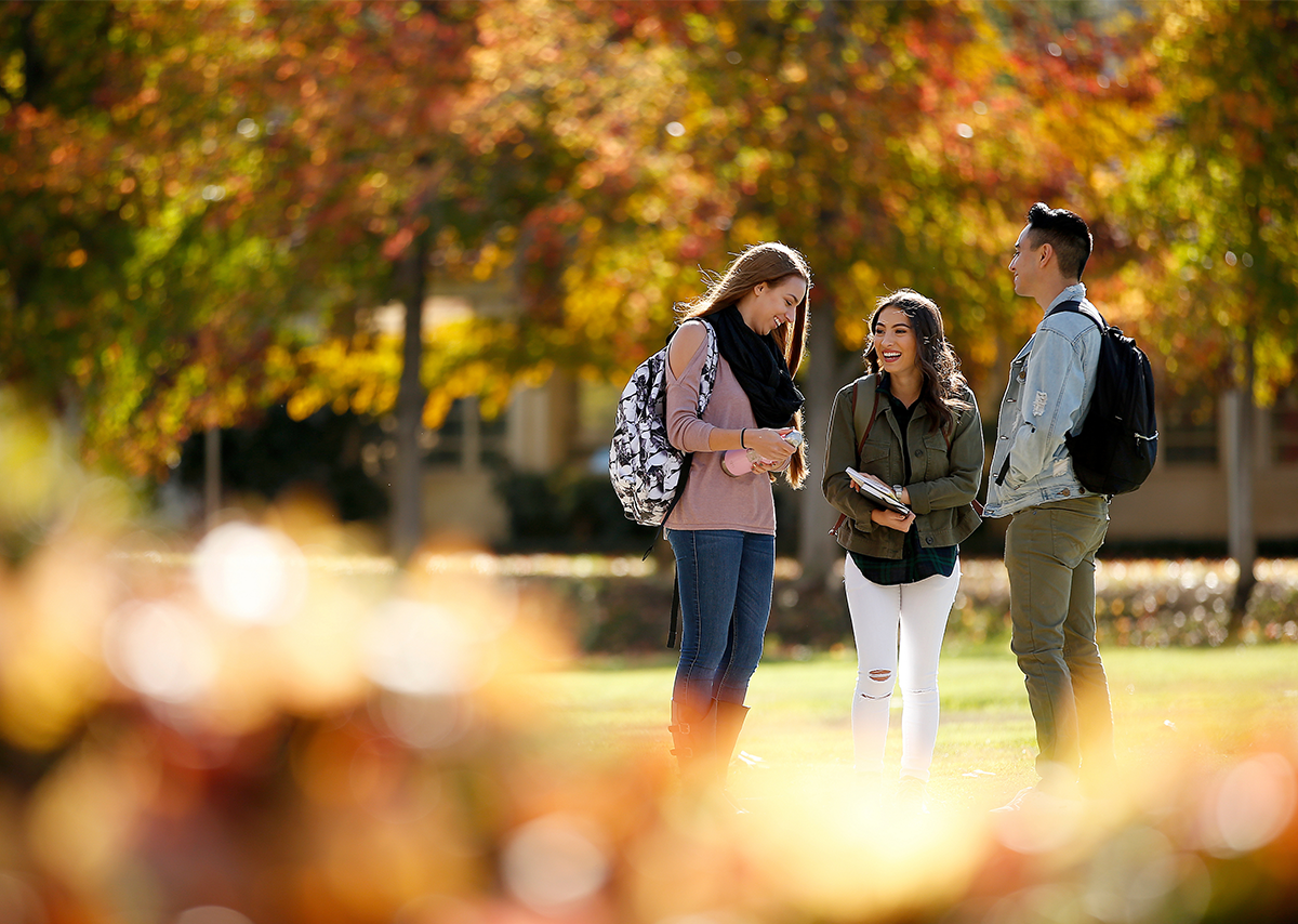 Students on campus during fall.